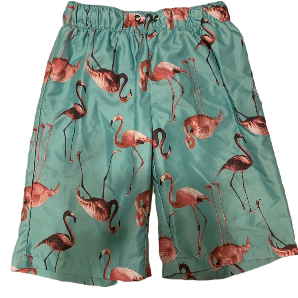Boys City Streets Teal Flamingo Swimsuit